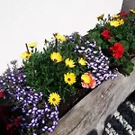 Apartamento Haus Rosmarie Neustift im Stubaital