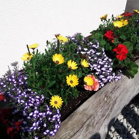 Apartman Haus Rosmarie Neustift im Stubaital