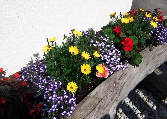 Apartment Haus Rosmarie Neustift im Stubaital