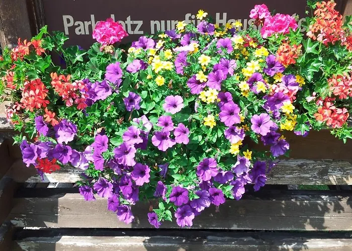 Haus Rosmarie * Neustift im Stubaital